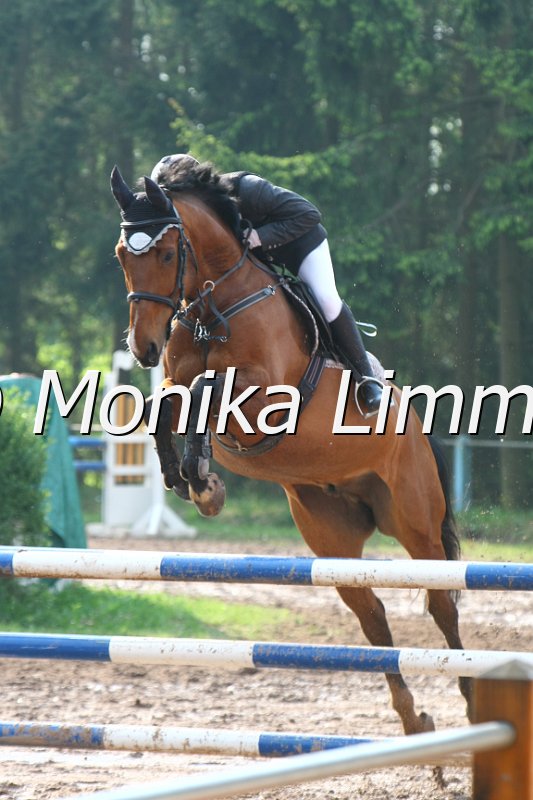 103M2984_Lakato_Spring A.JPG